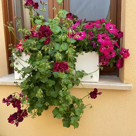 La Pulchella Apartment L'Aquila