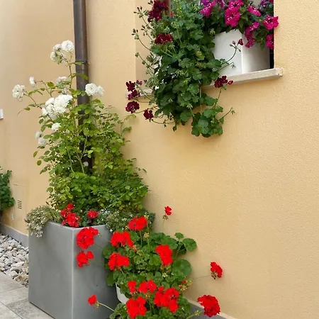 La Pulchella Apartment L'Aquila